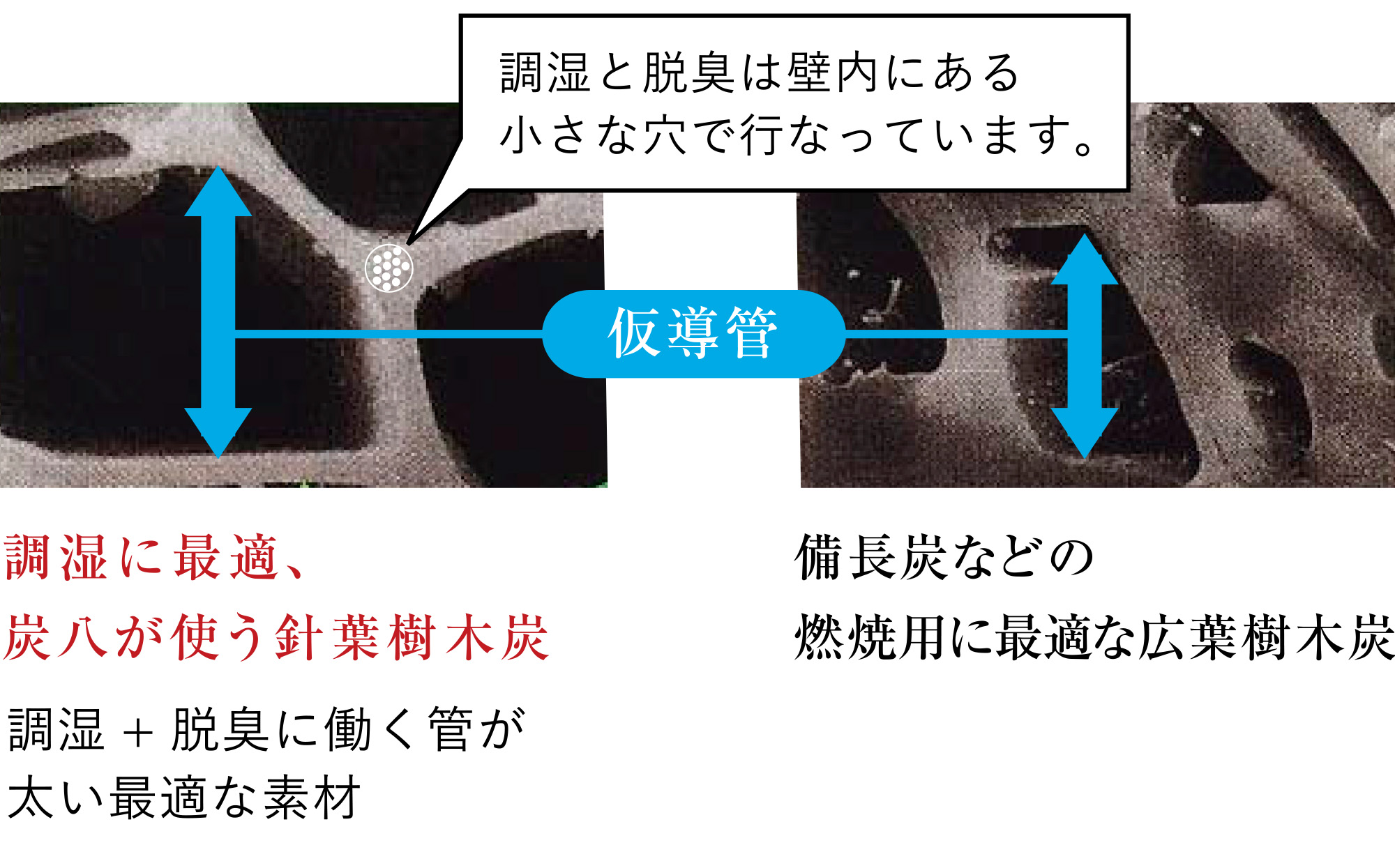 調湿に最適、炭八が使う針葉樹木炭。 備長炭などの 燃焼用に最適な広葉樹木炭。